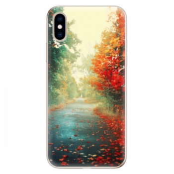 Odolné silikonové pouzdro iSaprio - Autumn 03 - iPhone XS